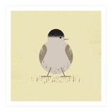 Blackcap 2 (Print Only) thumbnail