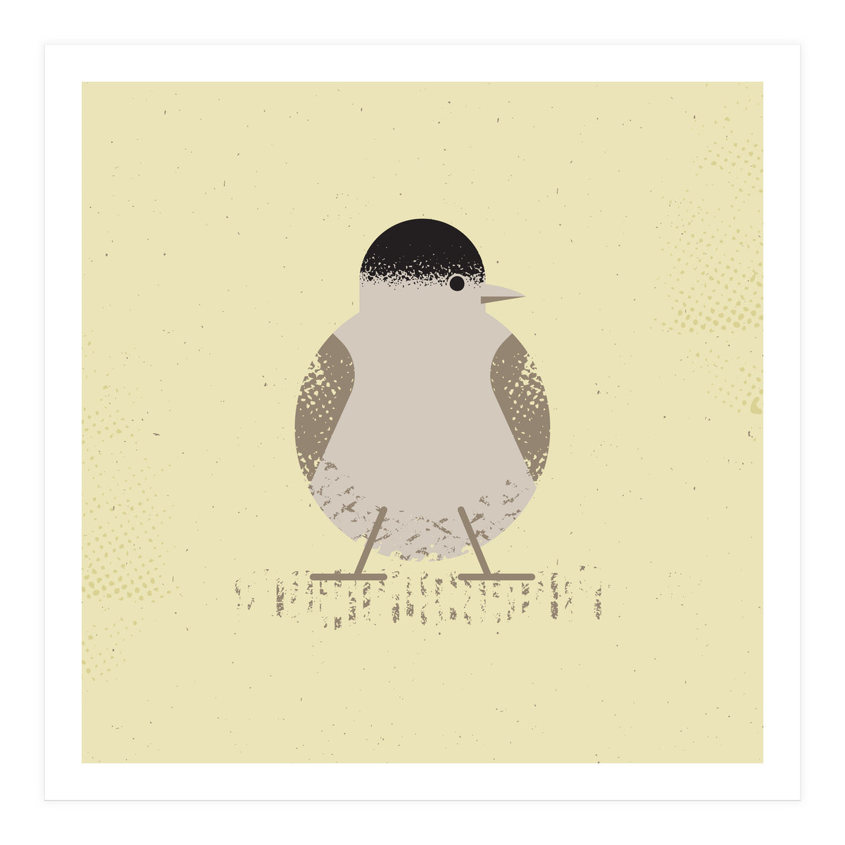 Blackcap 2 (Print Only)