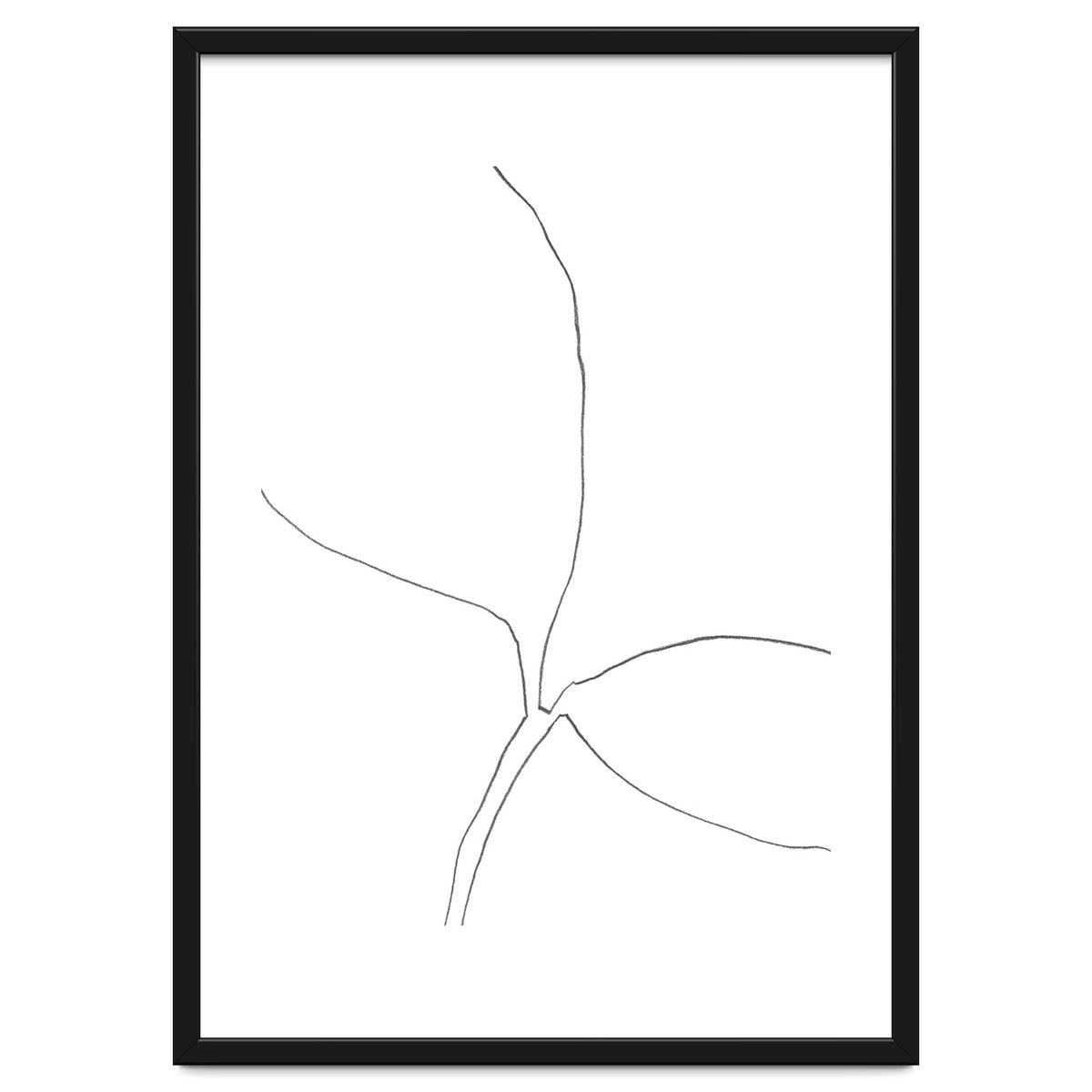 Seedling Leaning Right