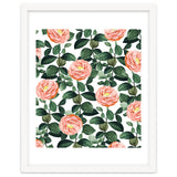 Josephine | Vintage Rose Garden Illustration | Bohemian Botanical Floral House Plants thumbnail
