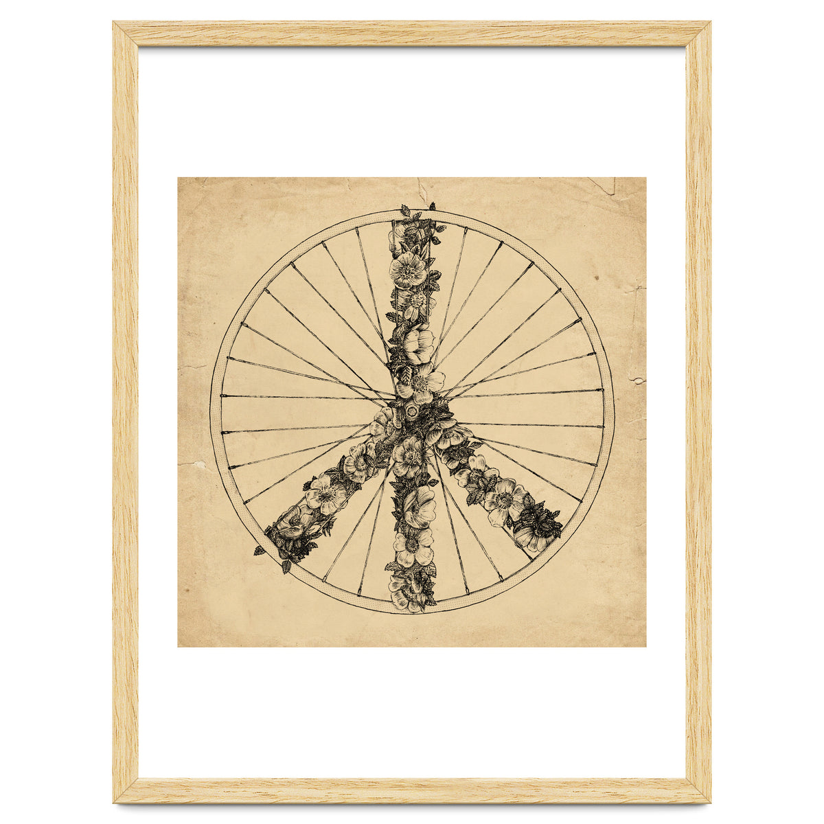 Peace And Bike Lines