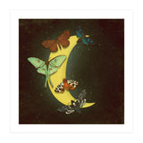 Moth moon (Print Only) thumbnail
