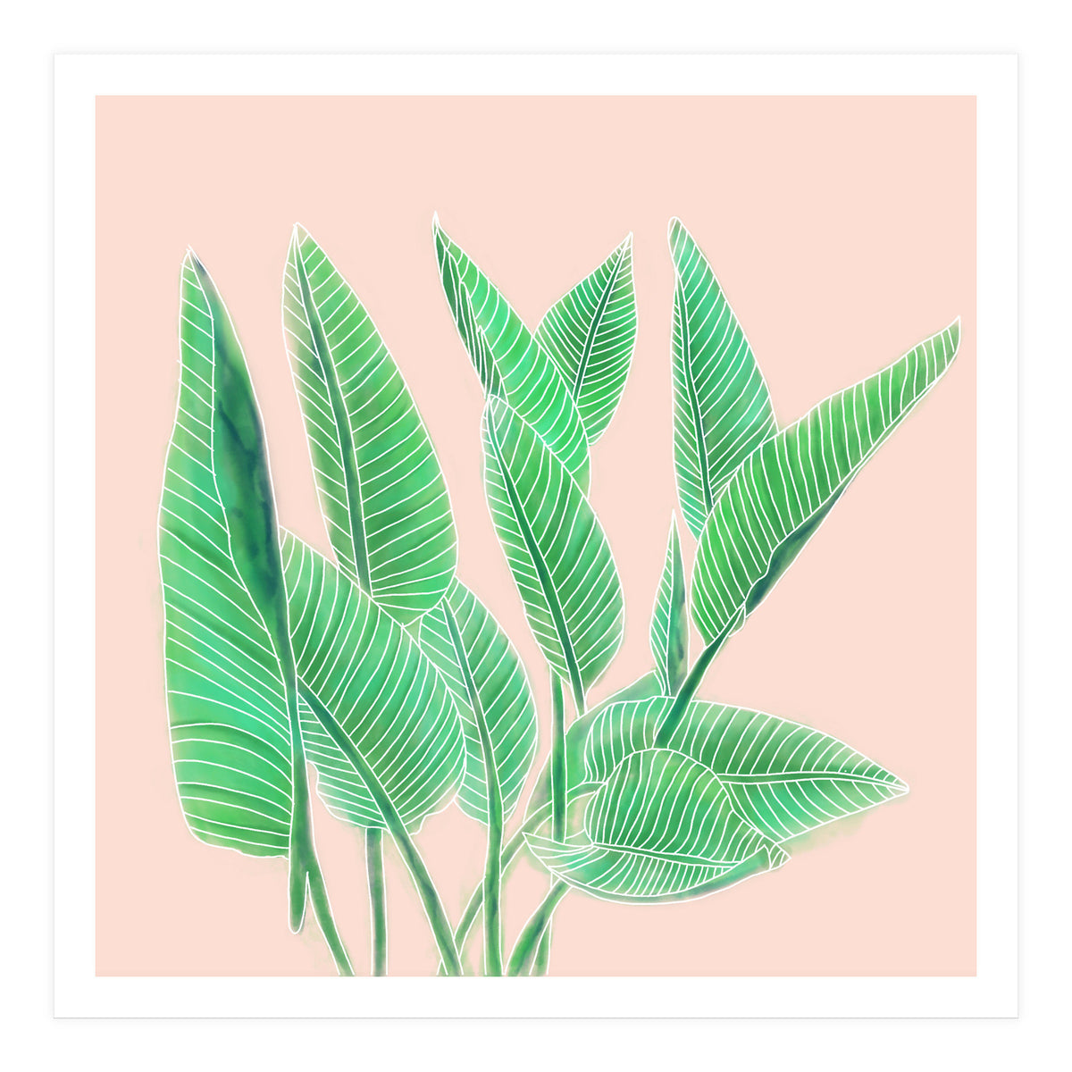Modern Hand Painted Tropical Green Watercolor Leaf Bird Of Paradise On Pastel Pink (Print Only)