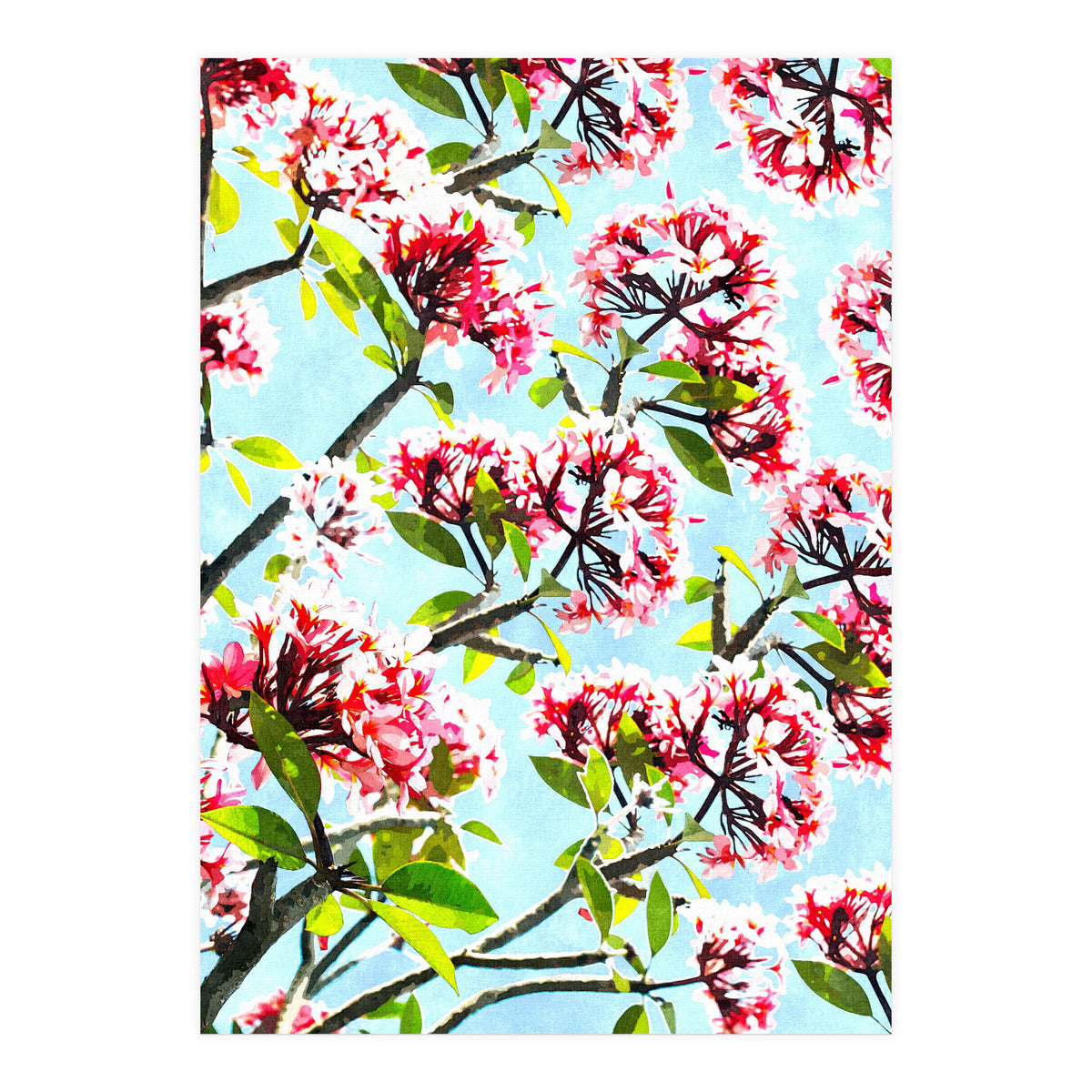 Frangipani (Print Only)