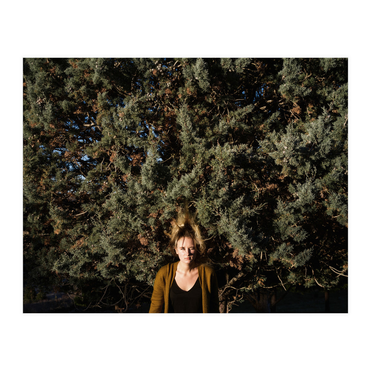 Autumn Portrait (Print Only)