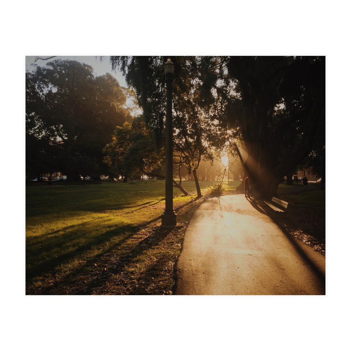 The Panhandle (Print Only)