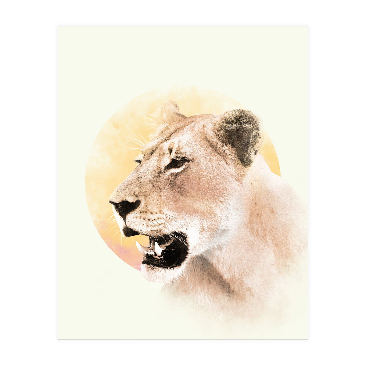 Lioness (Print Only)