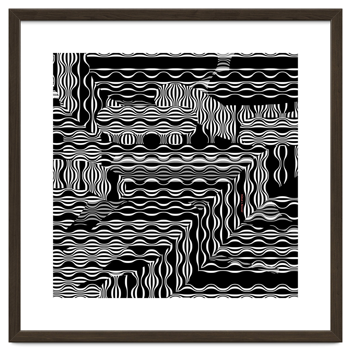 BLACK AND WHITE EXOTIC