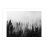 Black and White Forest (Print Only) thumbnail