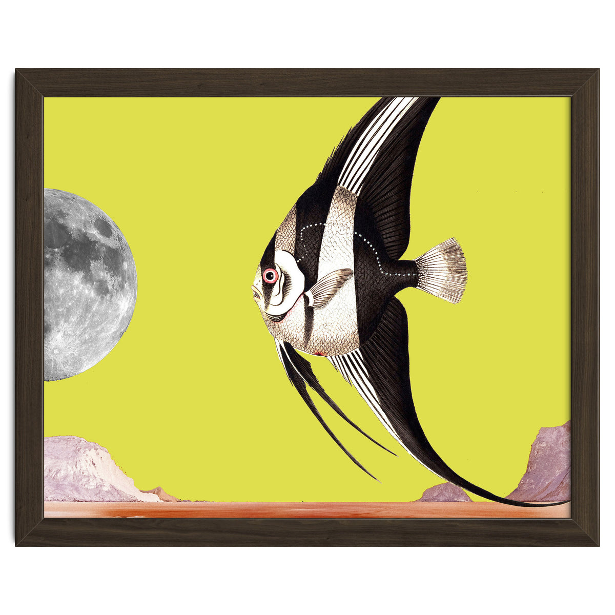 Plenty of fish in the sea yellow