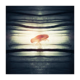Glow (Print Only) thumbnail
