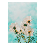 Fiona (Print Only) thumbnail