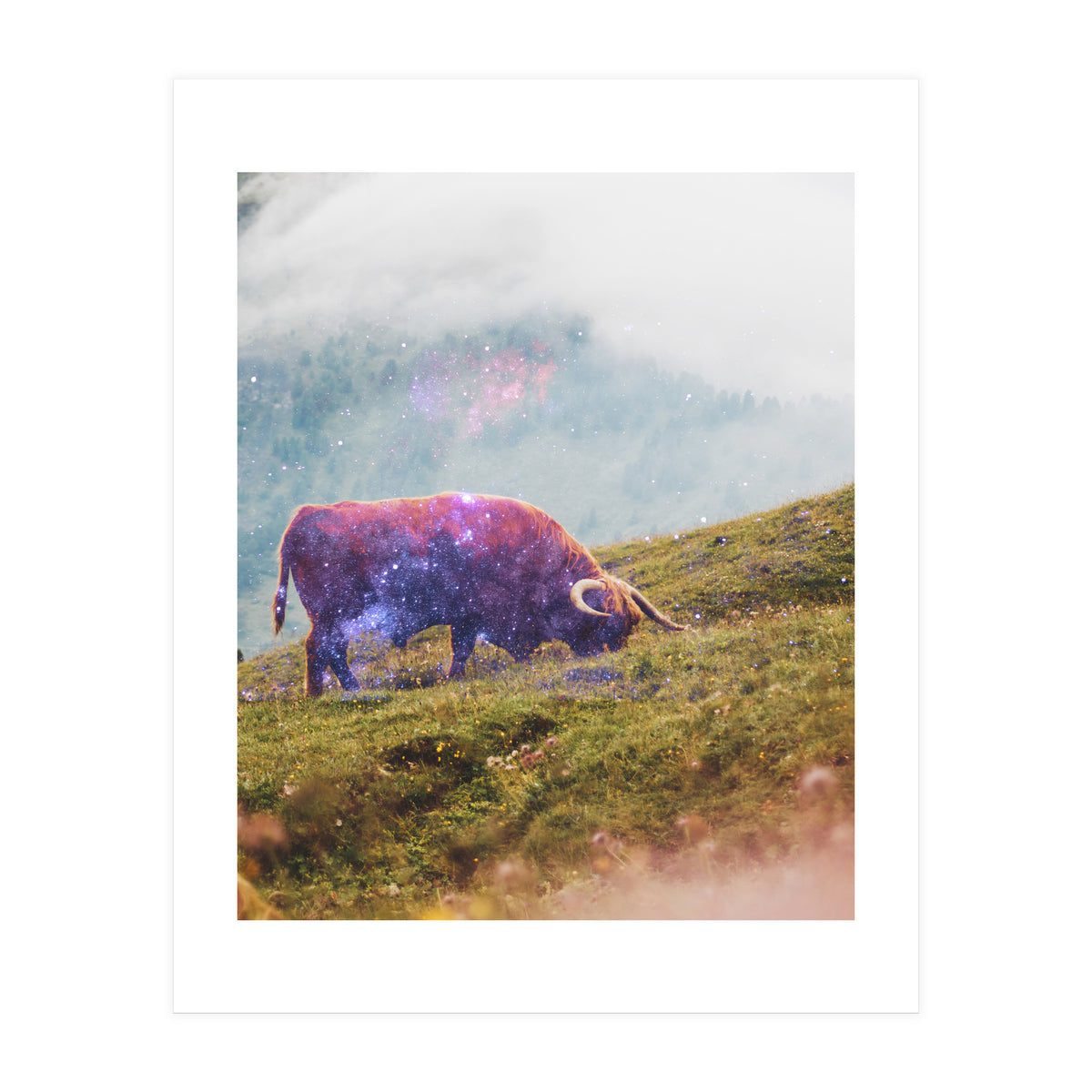 Space Cow Series I (Print Only)