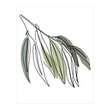 Willow (Print Only) thumbnail