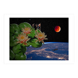 See From Lotus (Print Only) thumbnail