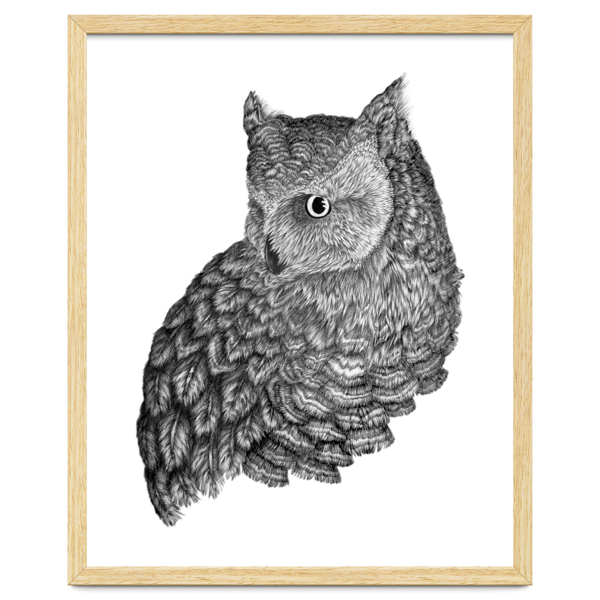 A Friend For Forsythe