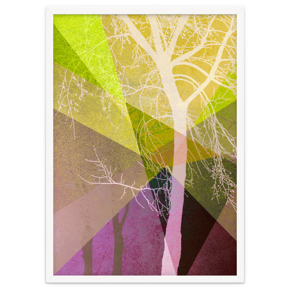 P22 A Trees And Triangles