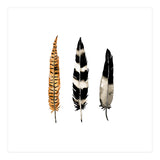 Earth Feather (Print Only) thumbnail