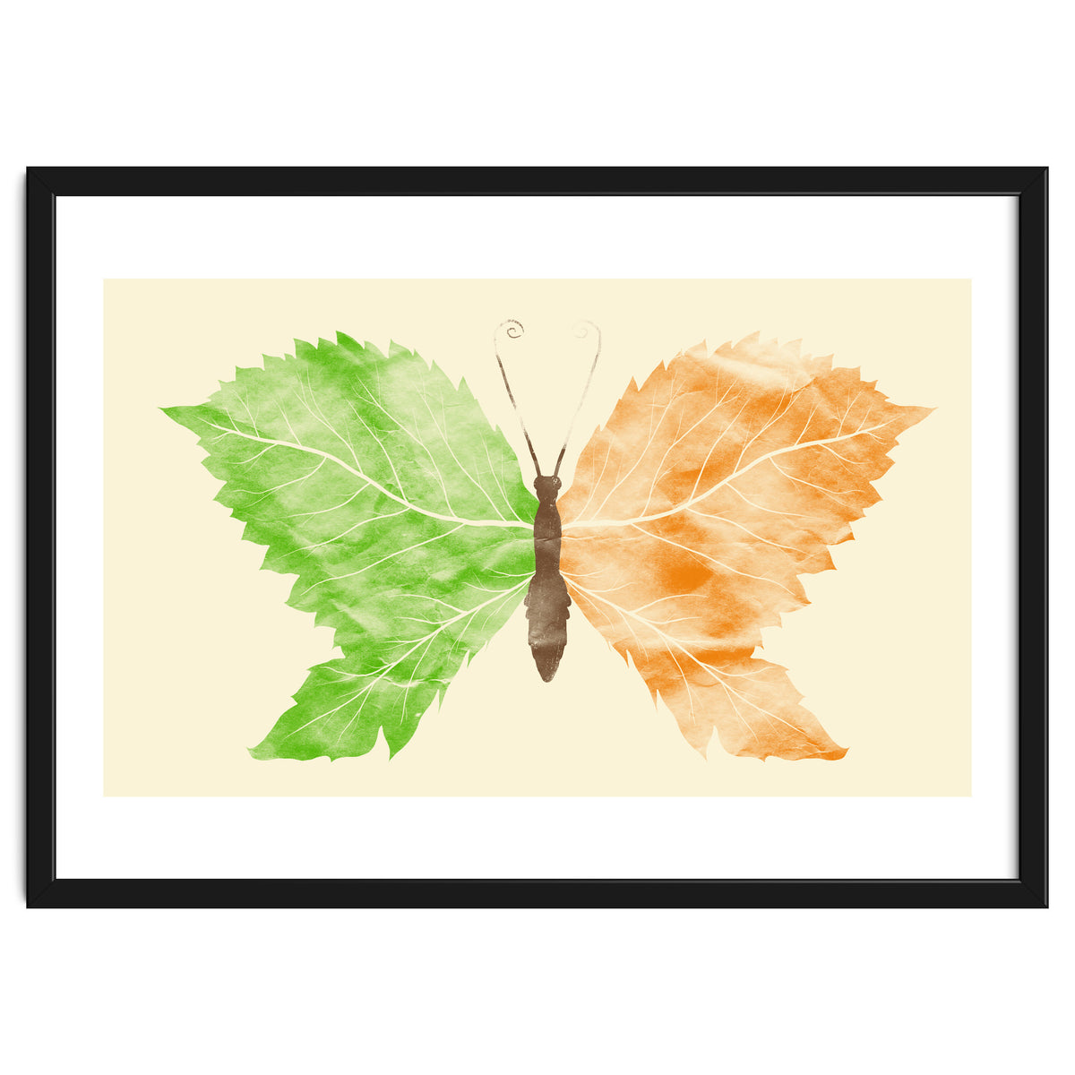 Seasons Change Time Flies