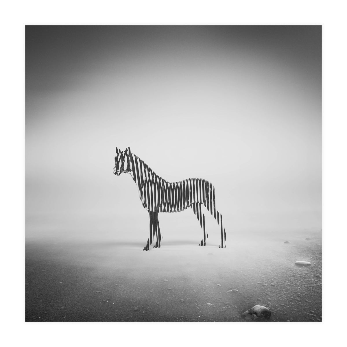 Zebra Mist (Print Only)