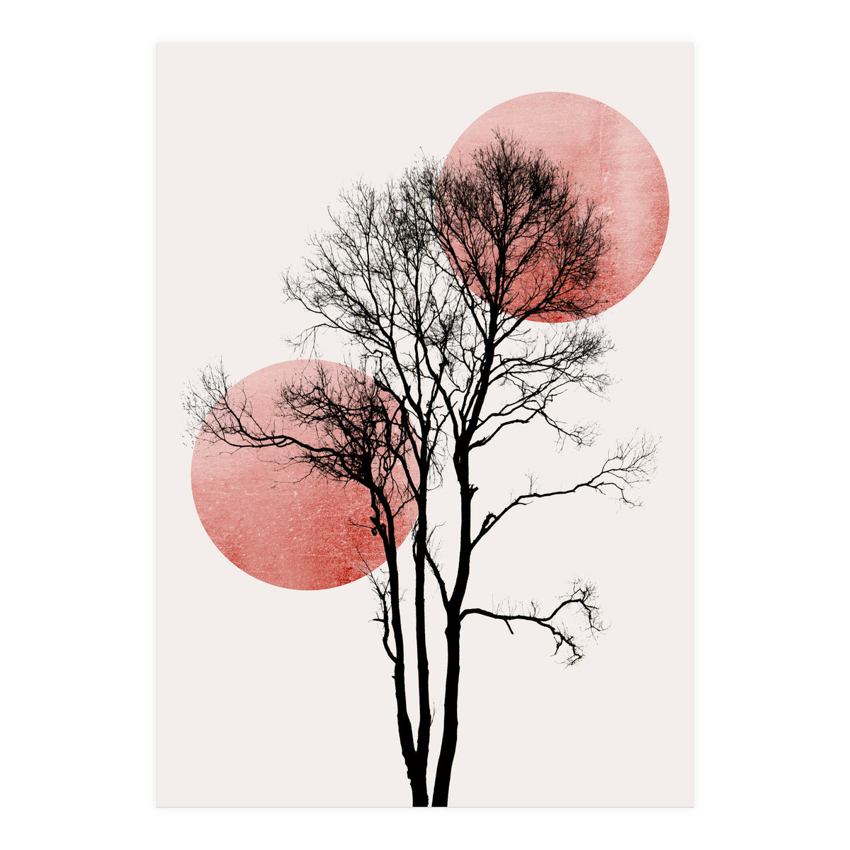 Sun And Moon Hiding Rosè (Print Only)