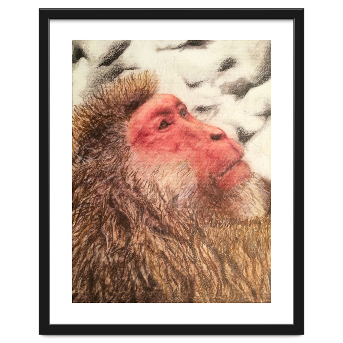 Japanese Macaque At The Onsen