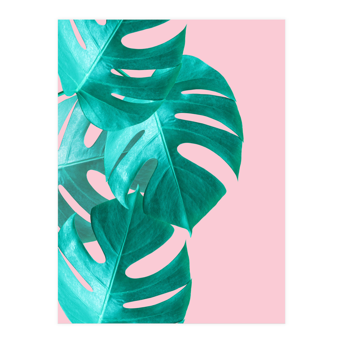 Tropical collage IV (Print Only)