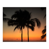 Mexico, November nights (Print Only) thumbnail