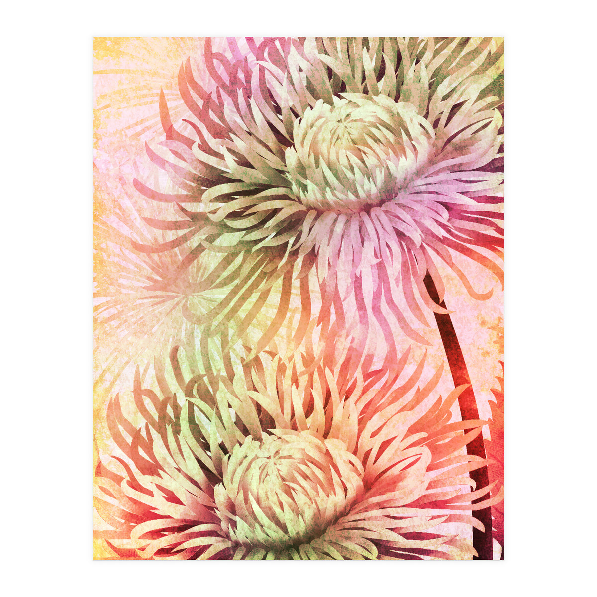 Blooming Flowers (Print Only)