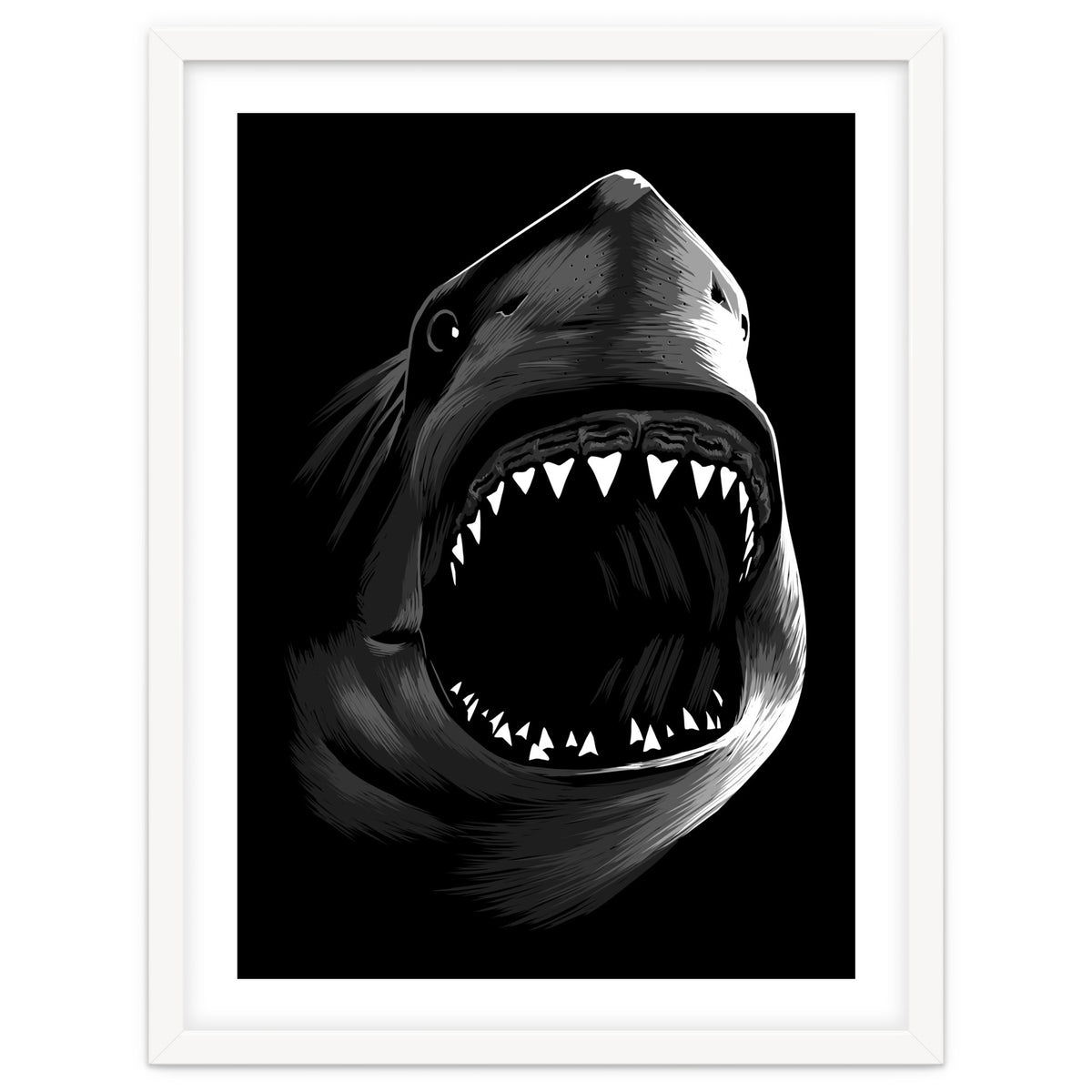 Megalodon
