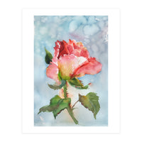 Beautiful Rose Watercolor (Print Only)