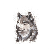 Wolf - Wildlife Collection (Print Only)
