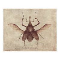 Cyrtotracheulus Dux (Print Only)