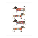 Sausage Dogs In Sweaters (Print Only) thumbnail