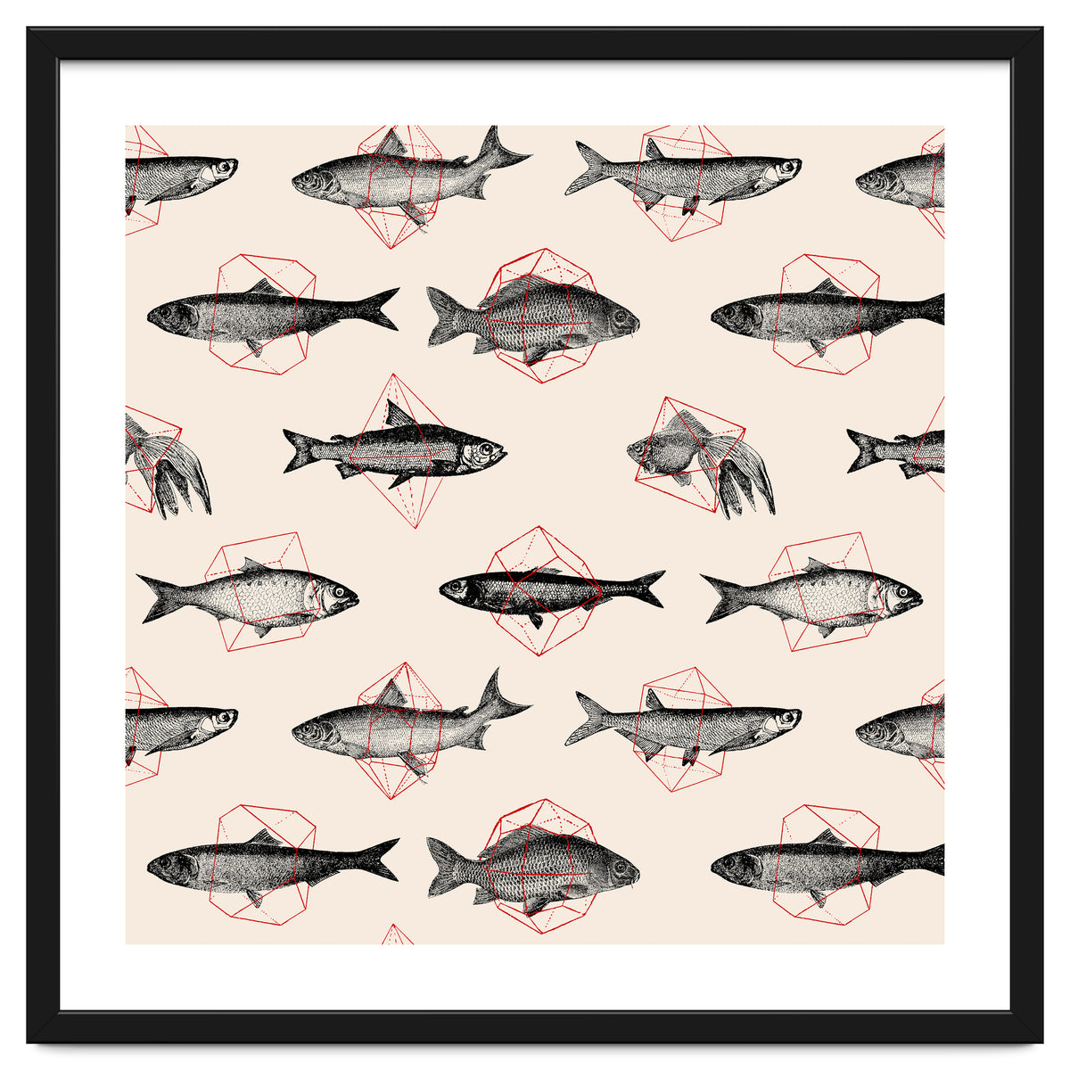 Fish In Geometrics