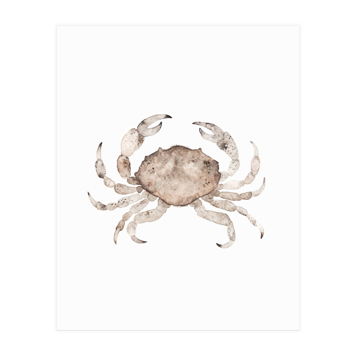 Crab (Print Only)