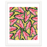 Caladium, Botanical Tropical Nature Plants, Vintage Bohemian Exotic Blush Leaves thumbnail