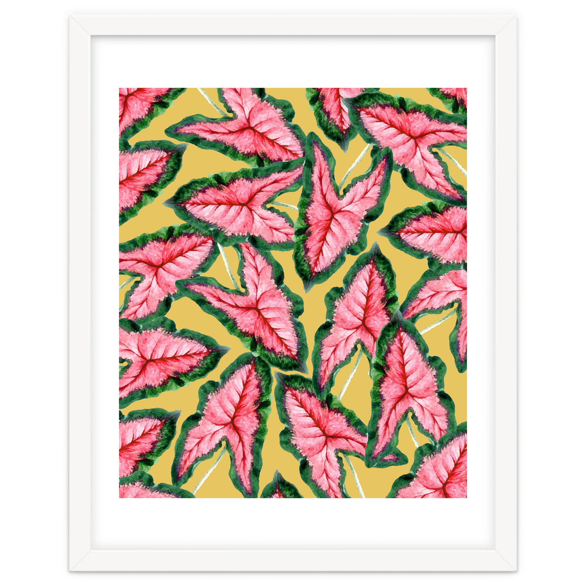 Caladium, Botanical Tropical Nature Plants, Vintage Bohemian Exotic Blush Leaves