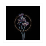 Candy-Coloured Mystery (Print Only) thumbnail