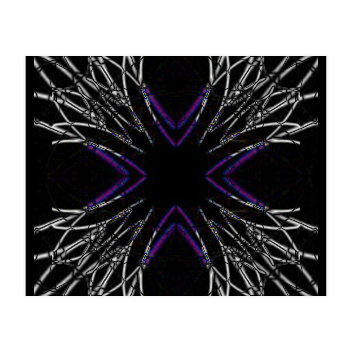 fiori.6.2png (Print Only)