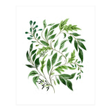 Botanical Abundance, Fresh Green Nature Watercolor Painting, Vibrant Leaves Minimal Illustration (Print Only) thumbnail