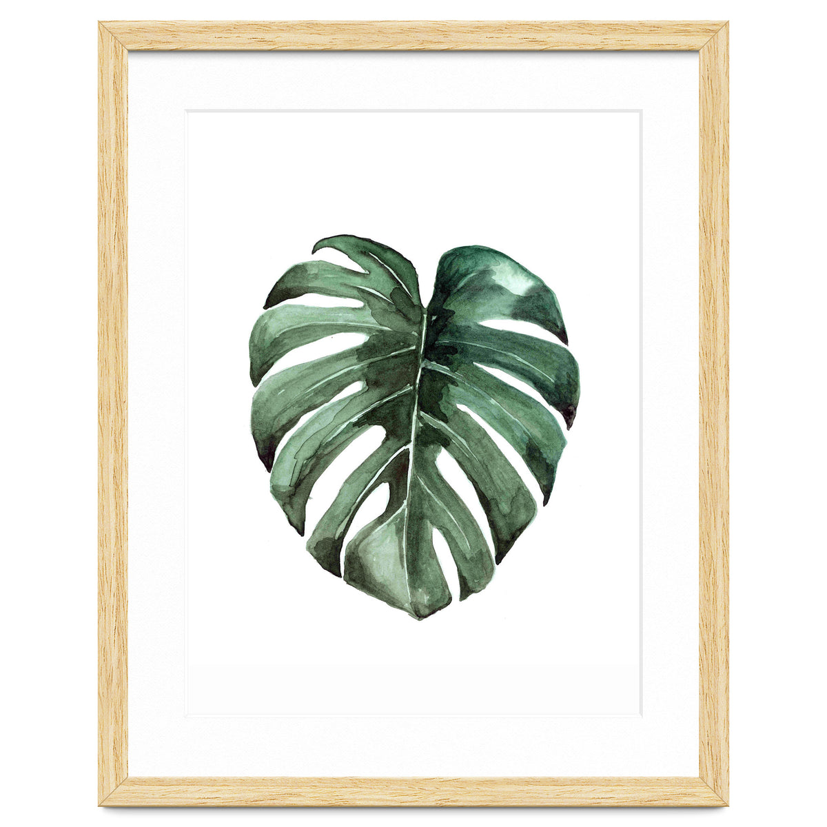Botanical Illustration Monstera Deliciosa