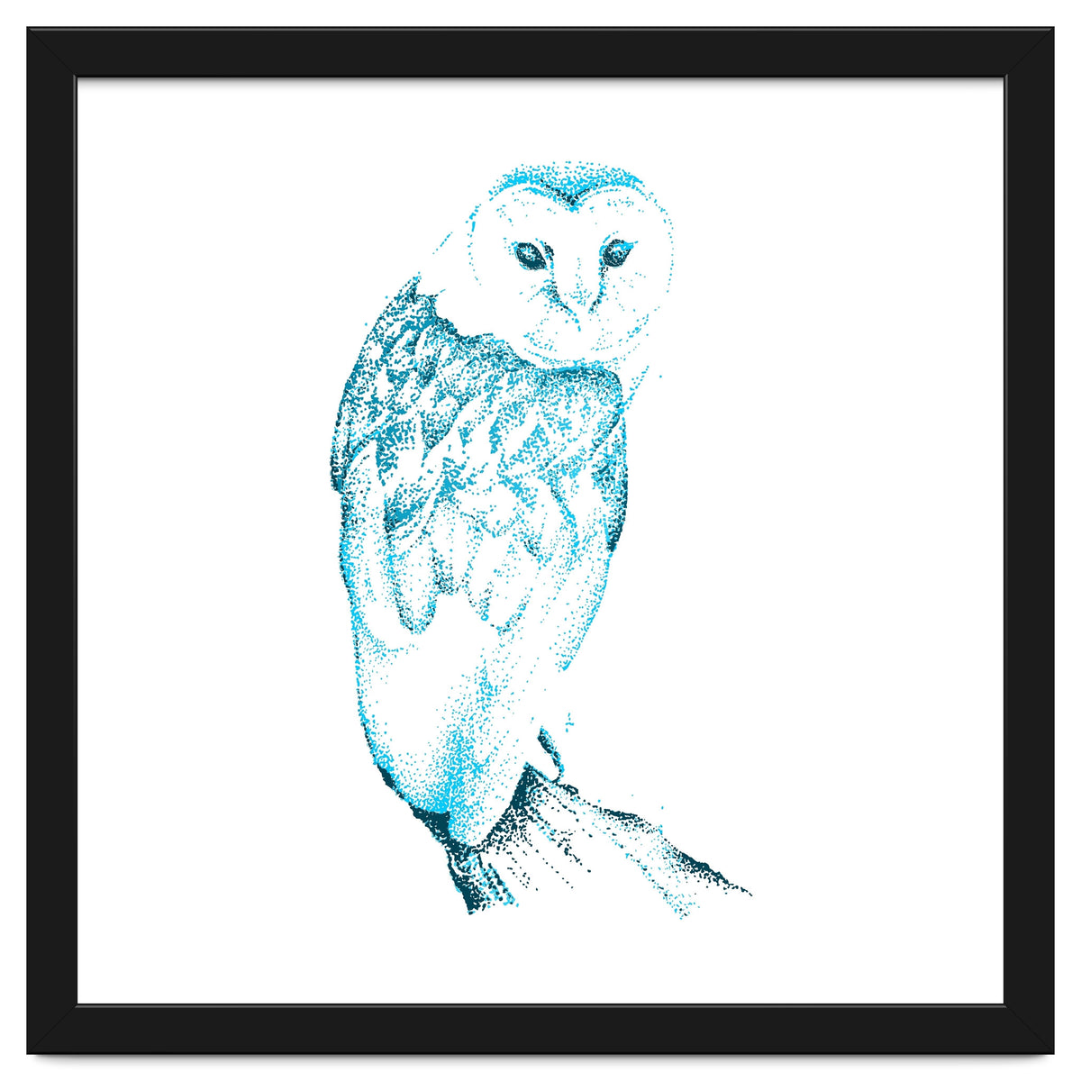 Barn Owl in Teal