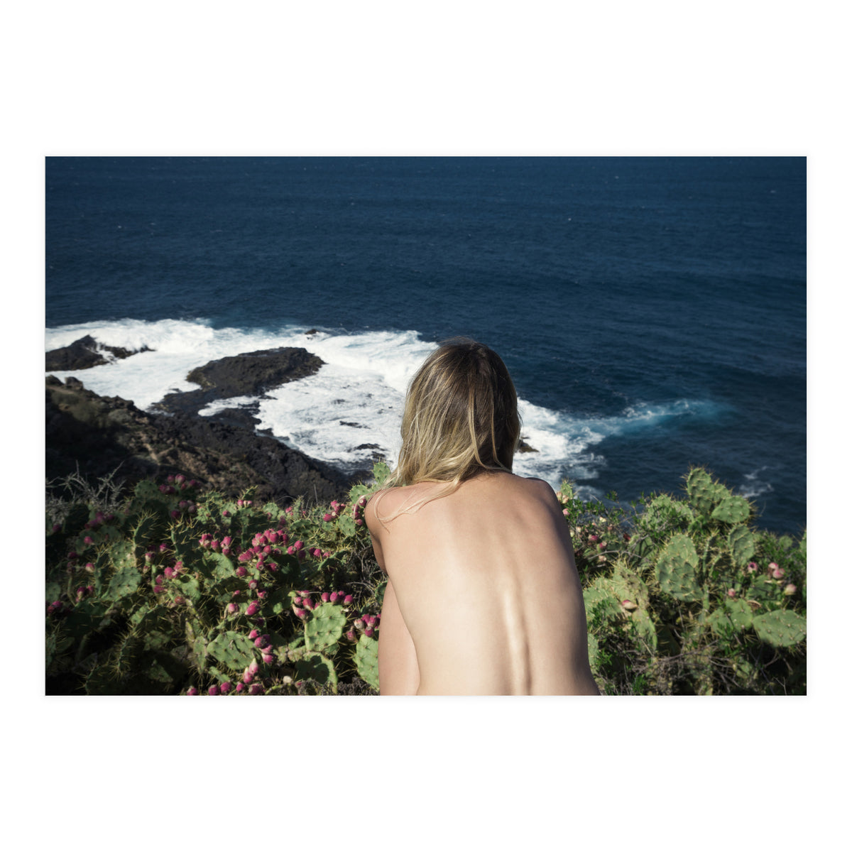 Delight (Print Only)