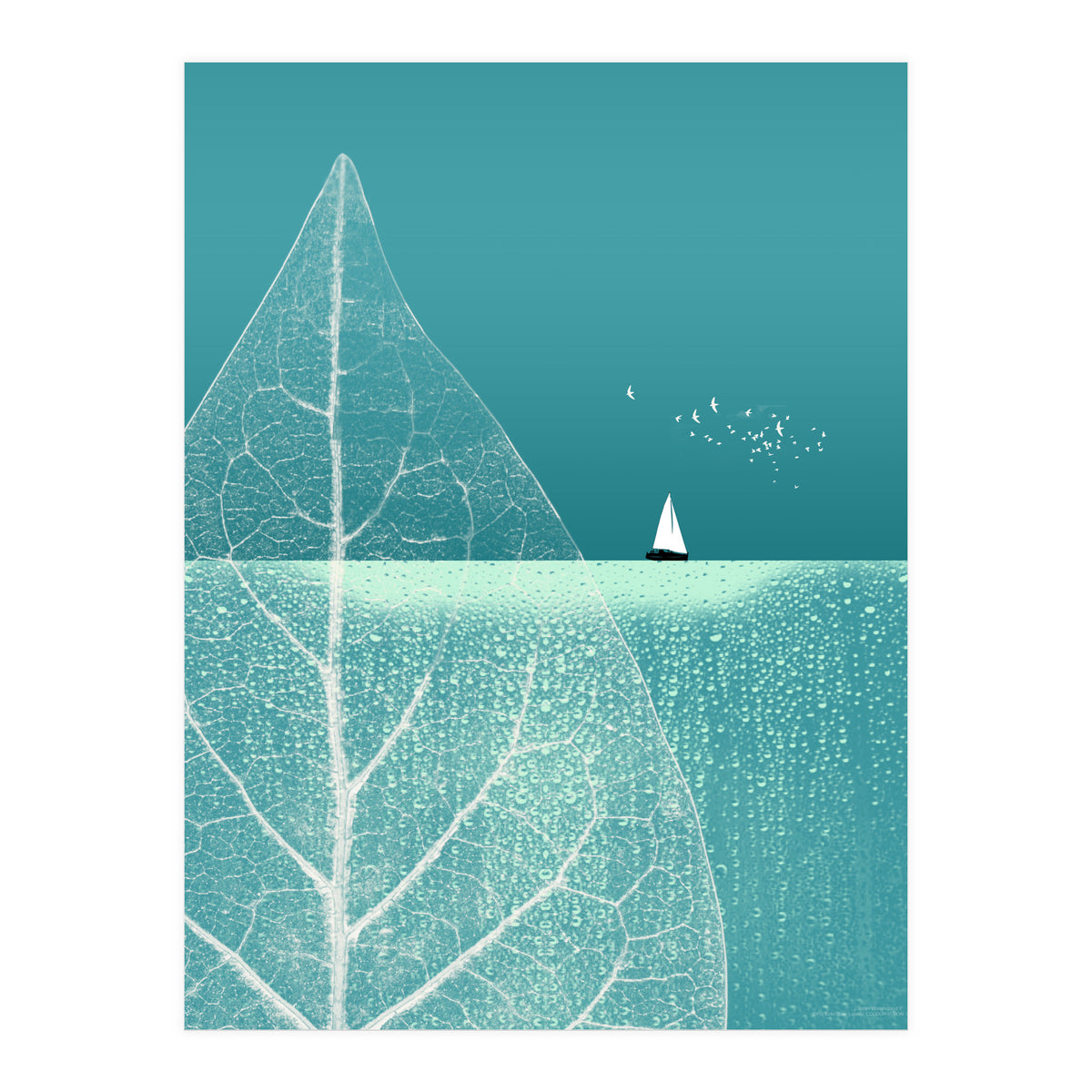 Ocean Wonderland II (Print Only)