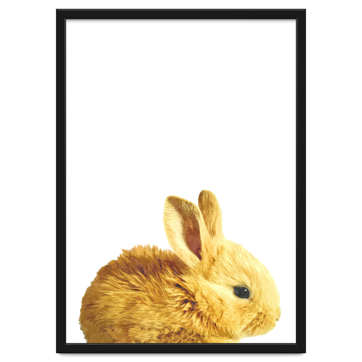 Bunny Portrait