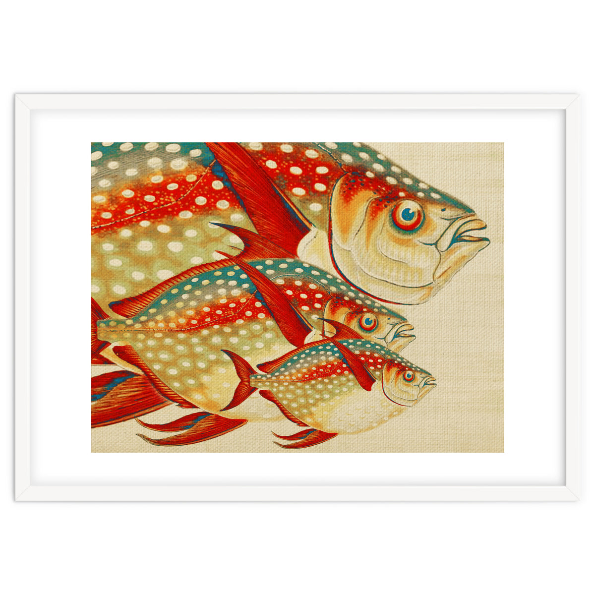 Fish Classic Designs 1