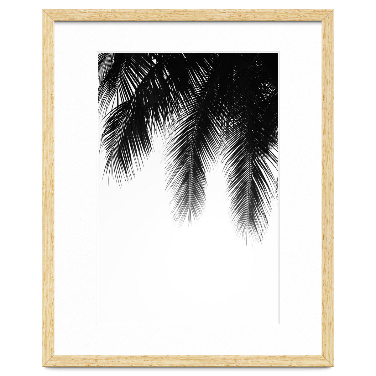 Palm leaves