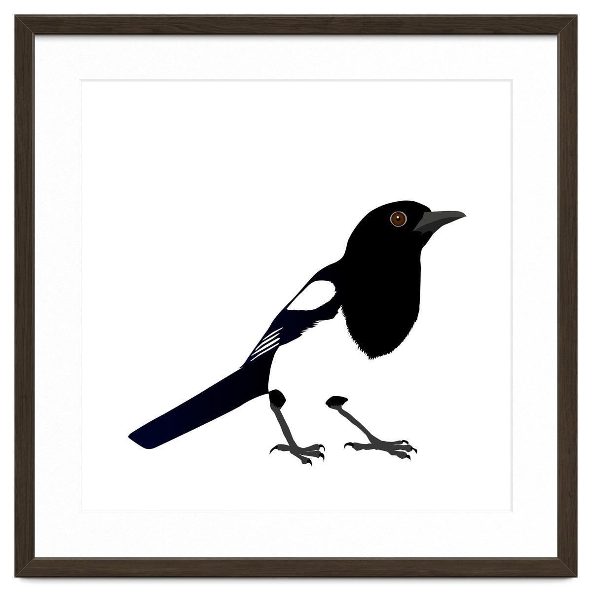 Magpie