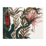 Insects (Print Only) thumbnail